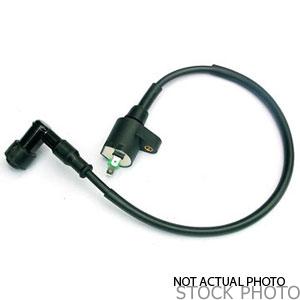 2002&nbsp;Ford&nbsp;Thunderbird&nbsp;Ignition Coil